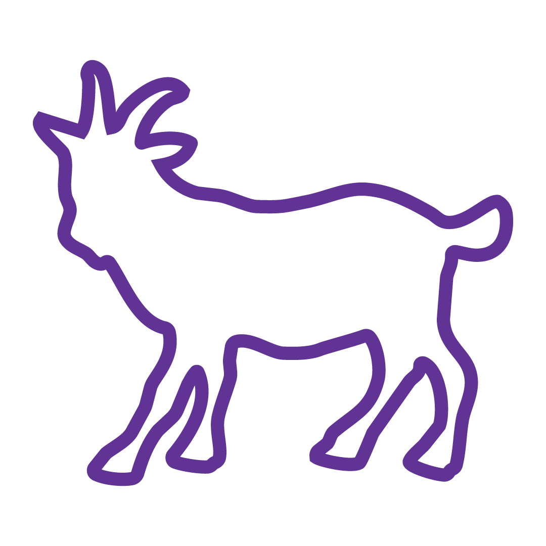 Goat's Milk