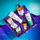 Geranium-Patchouli, Lavender, Lavender-Mint Bar Soaps, Lavender Lotion, Geranium-Patchouli Mist, Lavender Hand Soap, and Lavender Mint Body Soap inside purple gift box with purple krinkle. The box is half on a blue wavy shape and another half on blue water.