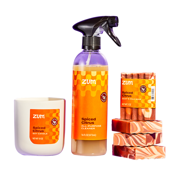 Spiced Citrus 10 oz Soy Candle, All-Purpose Cleaner bottle with a sprayer, a labeled Bar Soap on top of a stack of three unlabeled bar soaps.