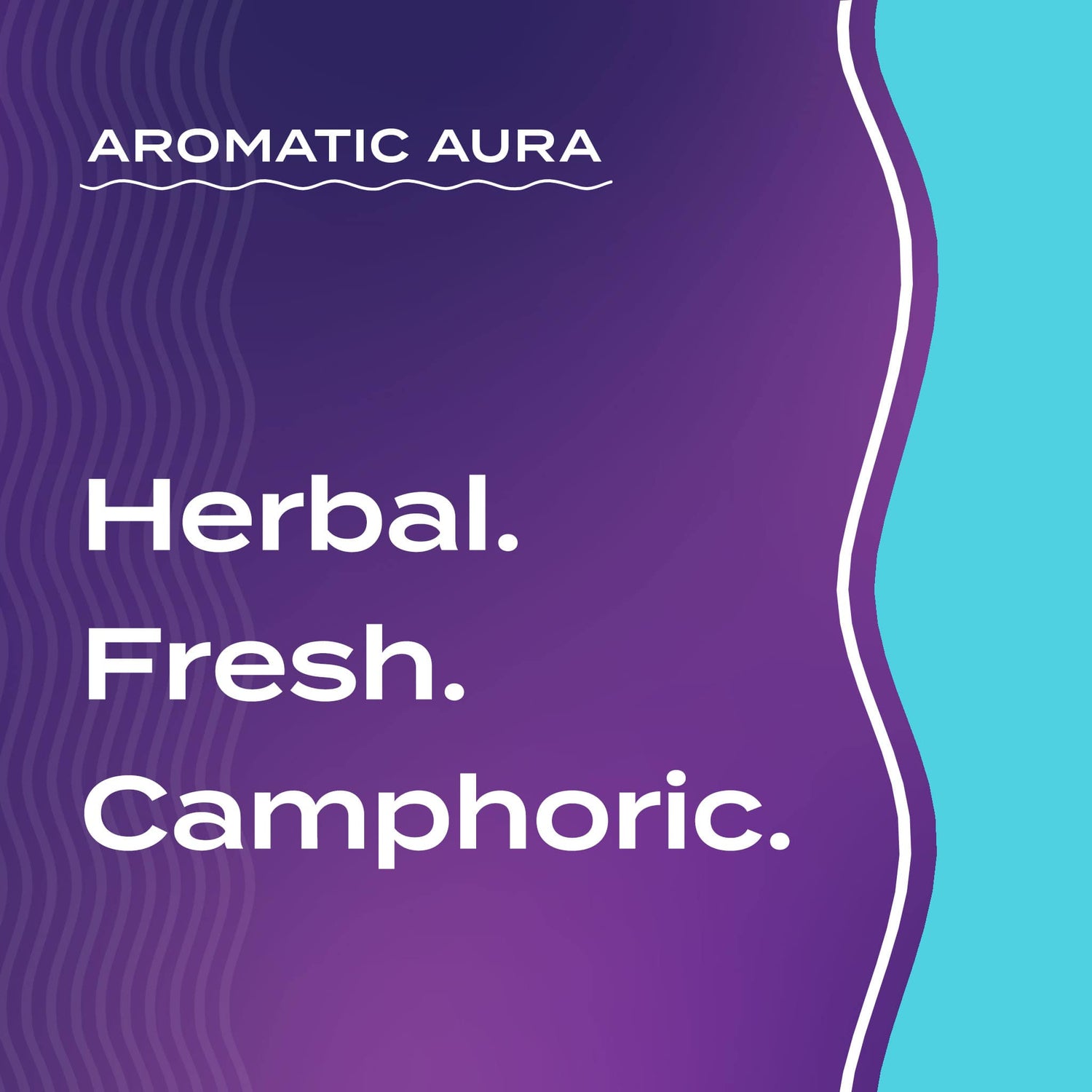 Text graphic depicting the aromatic aroma of Eucalyptus: Herbal, Fresh, Camphoric.