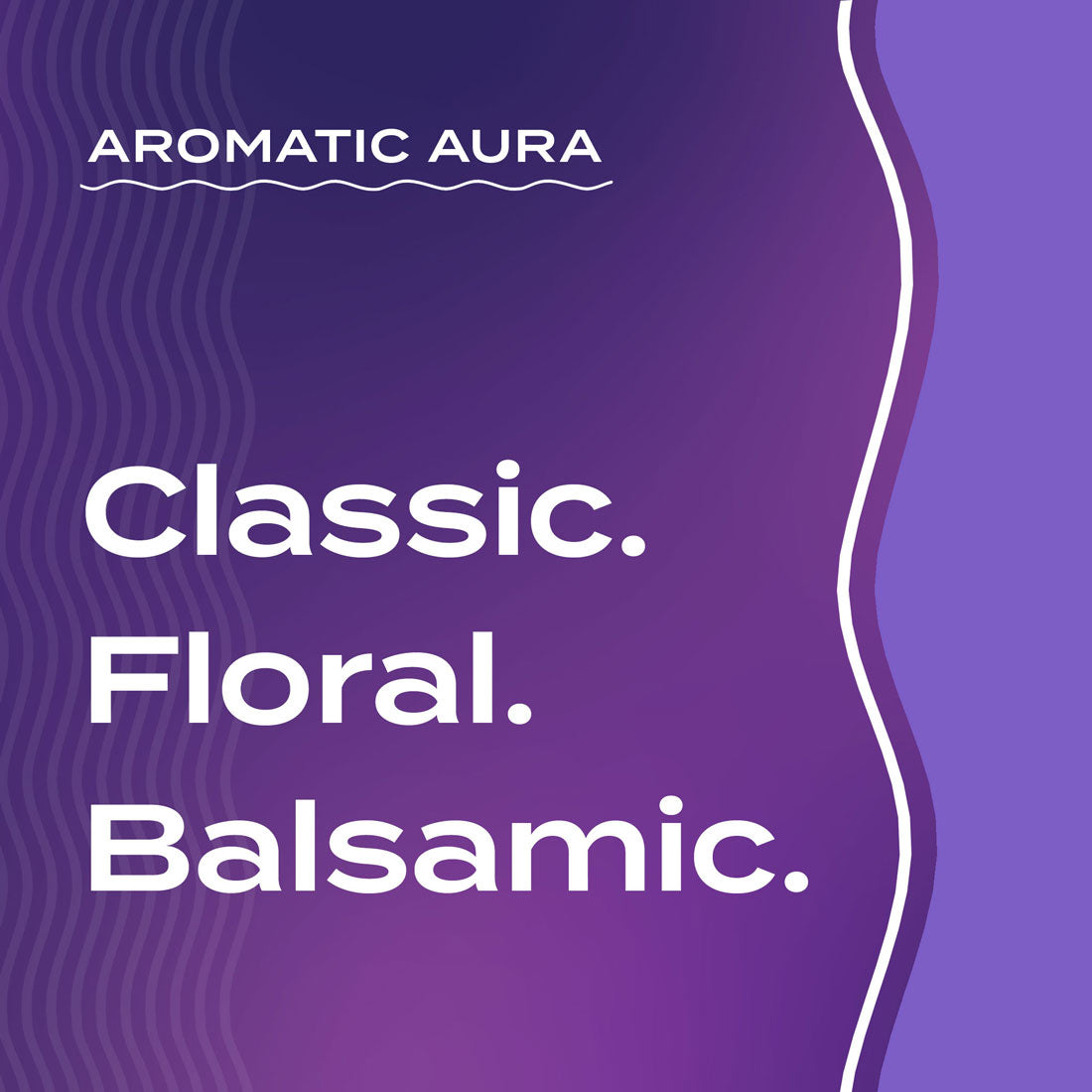 Text graphic depicting the aromatic aroma of Lavender: classic, floral, balsamic.