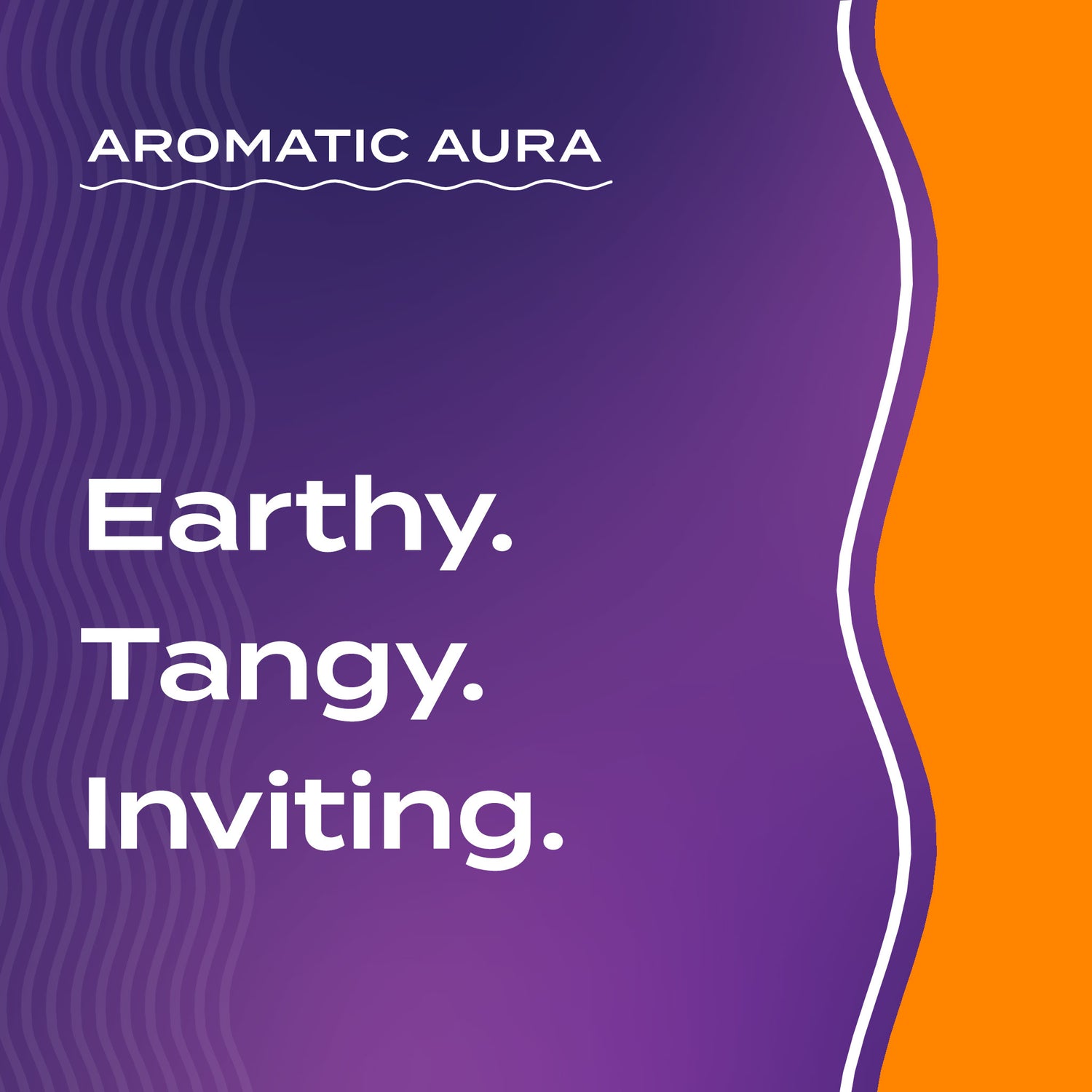 Text graphic depicting the aromatic aroma of Patchouli-Orange: Earthy, Tangy, Inviting.