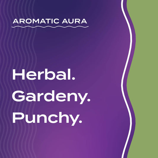Text graphic depicting the aromatic aroma of Rosemary: Herbal, Gardeny, Punchy.