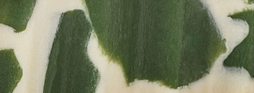 Holiday Almond