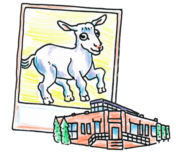 Zum Factory